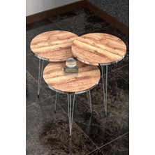 Karkissa Store Zigon Sehpa ve Orta Sehpa Elips Set Gümüş Ceviz Tel