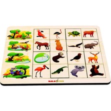 Balatoyz Kodlamaya Giriş 3’lü Ilişkiler Giysiler,doğa,,doğum Günü Puzzle Set