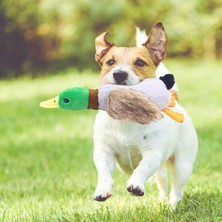 Sesli Yumuşak Dokulu Köpek Oyuncağı