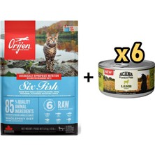 Orijen 6 Fish 6 Balıklı Tahılsız Kedi Maması 5,4kg + 6 Adet Acana Premium Kuzulu Ezme Kedi Konservesi 85 gr