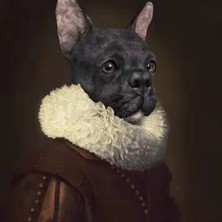 Kırmızı Ayı Asil Köpek Sayılarla Boyama Seti  Kasnaklı