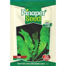 Pinaper Seed Tere Geniş Yaprak 10 gr Pınaper Tohumculuk