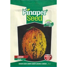 Pinaper Seed Kırkağaç Uzun 589 Kavun Tohumu 5 gr Pınaper Tohumculuk