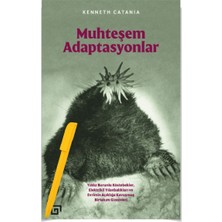 Alfa Kalem+Muhteşem Adaptasyonlar / Kenneth Catania (Yeni) Koç Üni Kitap