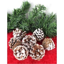 Yılbaşı Naturel Karlı Kozalak Ağaç Süsü 6 Lı