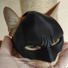 Kedi Maskesi