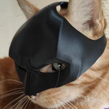 Kedi Maskesi