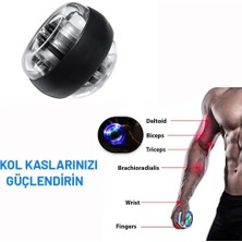 Busstier Gyroball - Bilek ve Kol Kaslarını Güçlendiren Egzersiz Topu