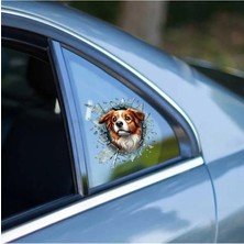 TSC Köpek Kelebek Cam 15 cm 2 Adet Ufak Boy