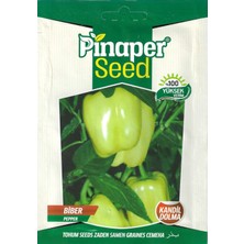 Pinaper Seed Kandil Dolma Biber Tohumu 5 gr Pınaper Tohumculuk