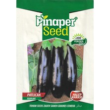 Pinaper Seed Patlıcan Halep Karası Tohumu 5 gr Pınaper Tohumculuk