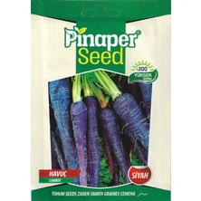 Pinaper Seed Siyah Havuç Tohumu 5 gr