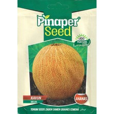 Pinaper Seed Ananas Kavun Tohumu 10 gr Pınaper Tohumculuk