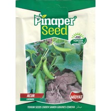 Pinaper Seed Midyat Acur Tohumu 10 gr