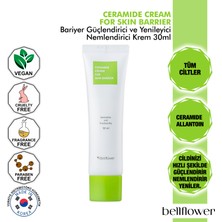 Bellflower Seramid Içeren Bariyer Güçlendirici, Yenileyici ve Nemlendirici Krem 30ml