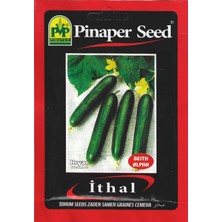 Pinaper Seed Salatalık Tohumu Ithal Beith Alpha 10 gr