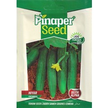 Pinaper Seed Salatalık Tohumu Beith Alpha 10 gr