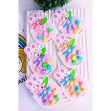 Nisan Kids Kız Çocuk Renkli Tavşan ve Yıldız Figürlü Kart Toka Seti(2 Pens 5 Mandal)