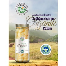 Organik Sarımsak Turşusu ''360gr''