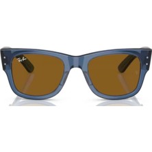 Rayban Unisex Güneş Gözlüğü RB0840S-668073