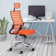 Asbir Mobilya Capri Başlıklı Fileli Başlıklı Metal Ayaklı Ofis Koltuğu Çalışma Koltuğu