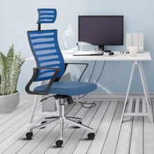 Asbir Mobilya Capri Başlıklı Fileli Başlıklı Metal Ayaklı Ofis Koltuğu Çalışma Koltuğu