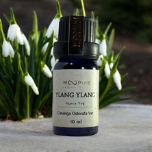 Woopine Aromaterapi Ylang Ylang Uçucu Yağı