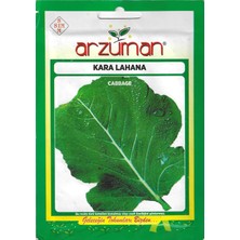 Arzuman Kara Lahana Tohumu 10 gr Arzuman Tohumculuk