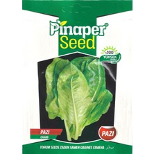 Pinaper Seed Pazı Tohumu 5 gr Pınaper Tohumculuk