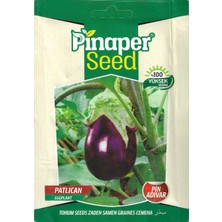 Pinaper Seed Pin Adıvar Patlıcan Tohumu 5 gr Pınaper Tohumculuk