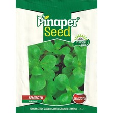 Pinaper Seed Semizotu Tohumu 5 gr Pınaper Tohumculuk