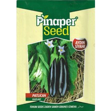 Pinaper Seed Aydın Siyahı Patlıcan Tohumu 5 gr Pınaper Tohumculuk