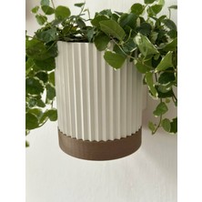 Alseka 3'lü Modern Duvar Saksısı