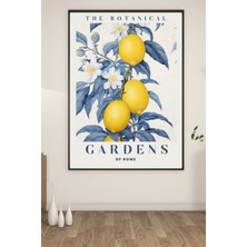 Bs Baskı A3 Gardens Baskılı Poster