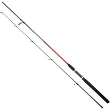 Remixon Flex Spin 270 cm 20-50 gr & Ryuji Infinity 4000M Spin Seti
