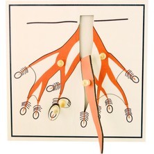 Balatoyz Montessori Ağaç Kökü Puzzle
