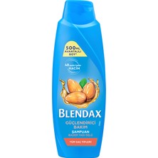 Blendax Güçlendirici Bakım Badem Yağı Özlü Şampuan 500 Ml