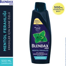 Blendax Erkekler İçin Mentol Ferahlığı Nane Özlü Şampuan 500 Ml