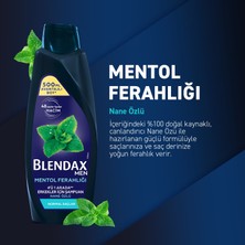 Blendax Erkekler İçin Mentol Ferahlığı Nane Özlü Şampuan 500 Ml