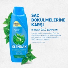 Blendax Saç Dökülmesine Karşı Isırgan Özlü Şampuan 500 Ml