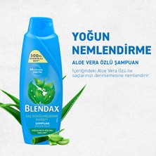 Blendax Yoğun Nemlendirme Aloe Vera Özlü Şampuan 500 Ml