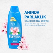 Blendax Parlaklık Veren Kiraz Çiçeği Özlü Şampuan 500 Ml