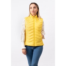 V Desenli Slim Fit  Dik Yaka Modern Kadın Yelek