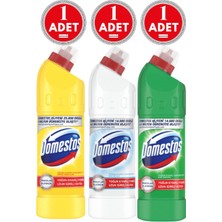 Domestos Çamaşır Suyu Limon 750 ml Kar Beyazı 750 ml Dağ Esintisi 750 ml