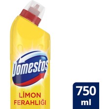 Domestos Çamaşır Suyu Limon 750 ml Kar Beyazı 750 ml Dağ Esintisi 750 ml