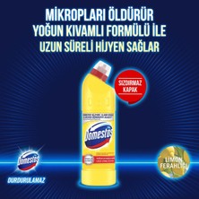 Domestos Çamaşır Suyu Limon 750 ml Kar Beyazı 750 ml Dağ Esintisi 750 ml