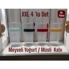 Xxl 4 'lü Set Meyveli Yoğurt Kabı***müsli Kabı (4x 700ML)