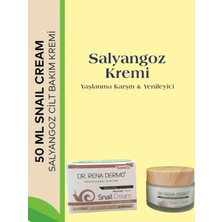 Salyangoz Krem
