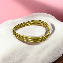 Stainless Steel Şerit Çelik Kelepçe