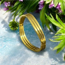 Stainless Steel Şerit Çelik Kelepçe
